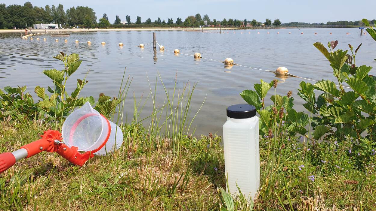 Beeld van watercontrole blauwalg hoornseplas