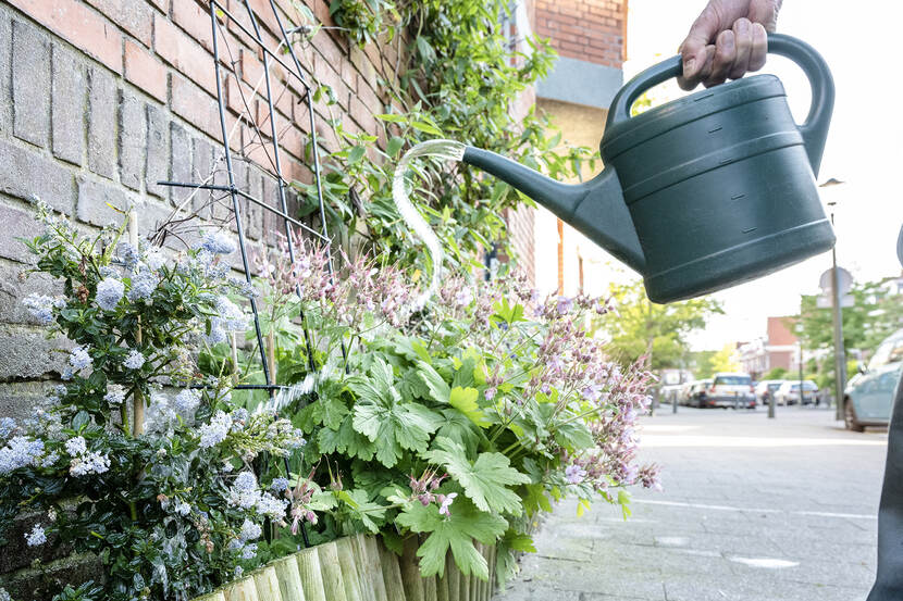 Een persoon geeft met een groene gieter water aan planten in een geveltuin voor een huis.